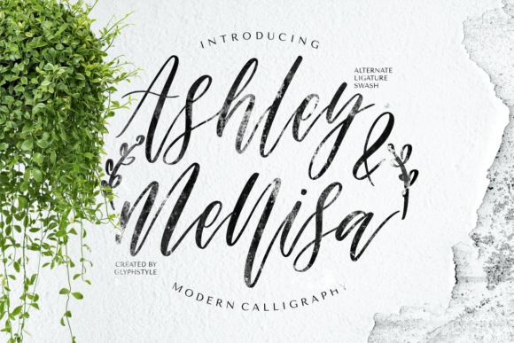 Ashley Mellisa: A Flowing Script Font
