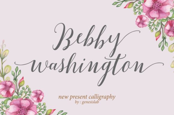 Bebby Washington Font Review