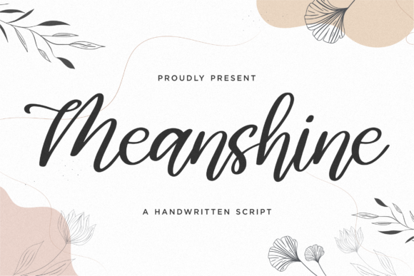 Meanshine Font for Web Design