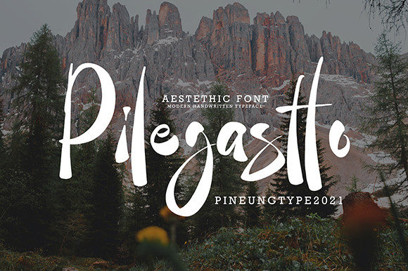 Pilegastto: A Script Amp Review