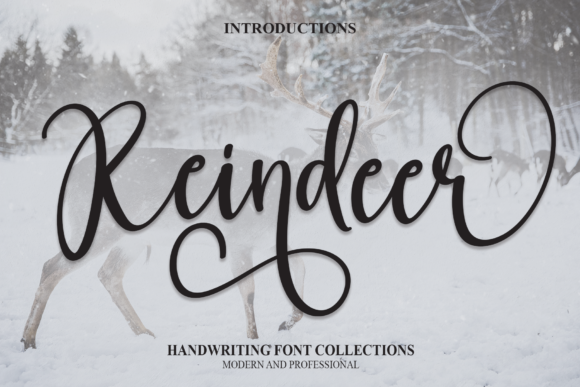 Reindeer Font Review
