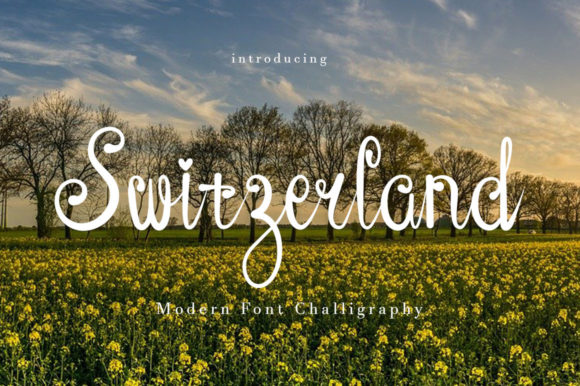 Switzerland Font for Business Style